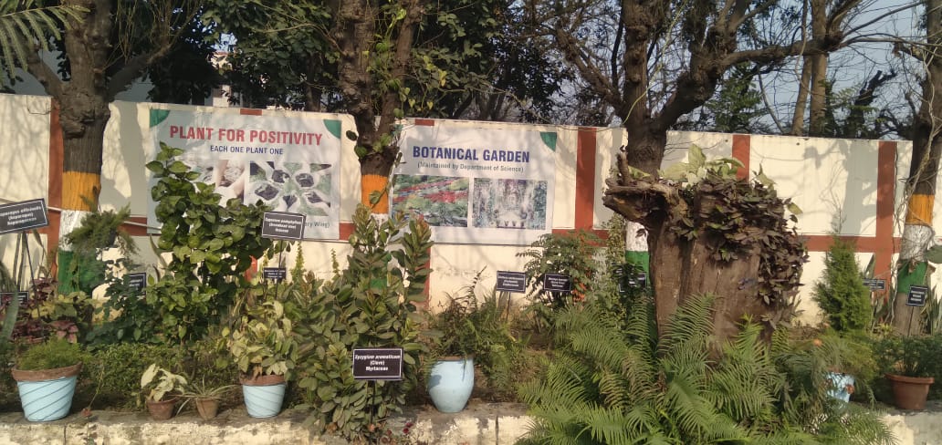 BOTANICAL GARDEN